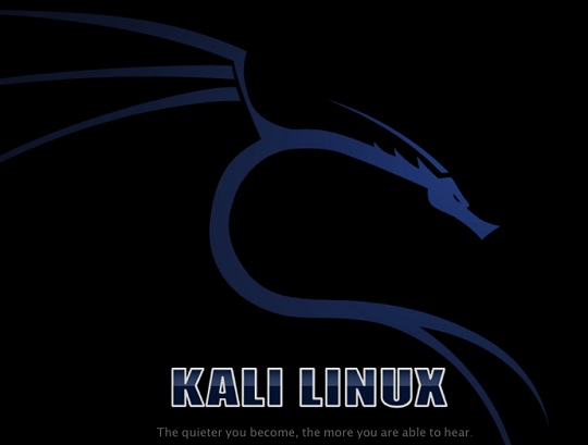 kali linux